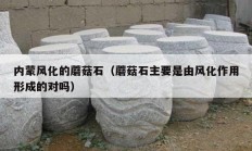 內(nèi)蒙風(fēng)化的蘑菇石（蘑菇石主要是由風(fēng)化作用形成的對嗎）