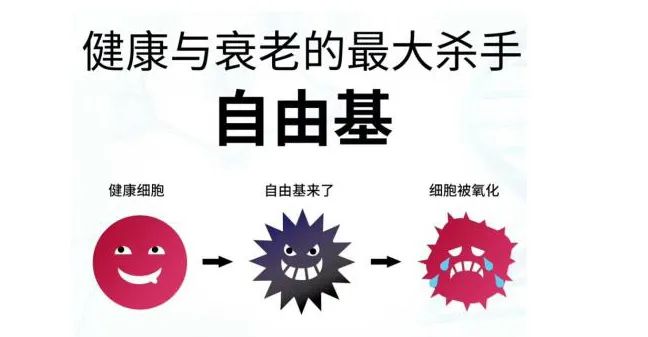 玻尿酸的作用與功效有哪些？